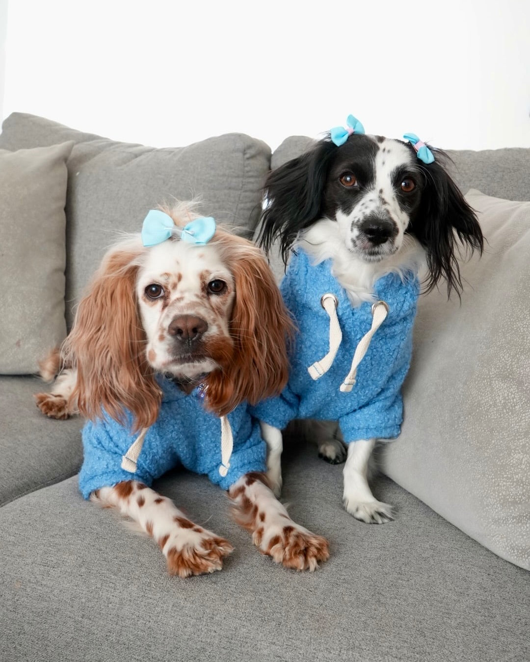 Light Blue | Teddy Hoodie