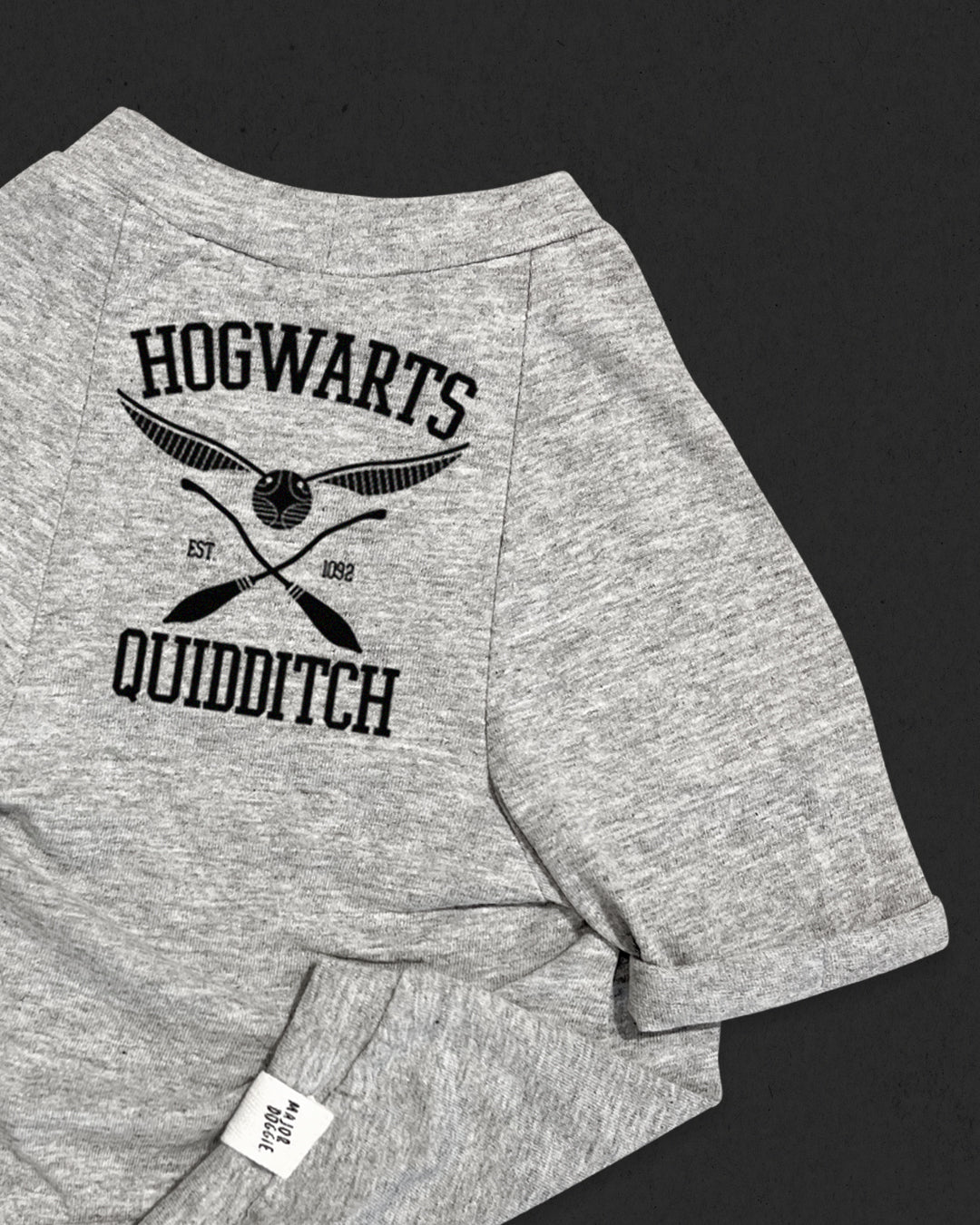 Quidditch