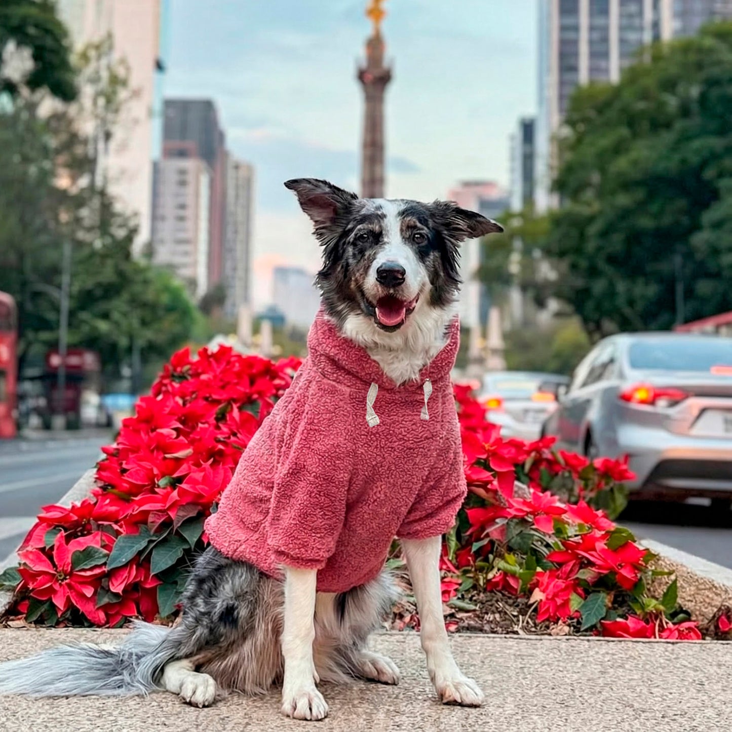 Old Pink | Soft Teddy Hoodie