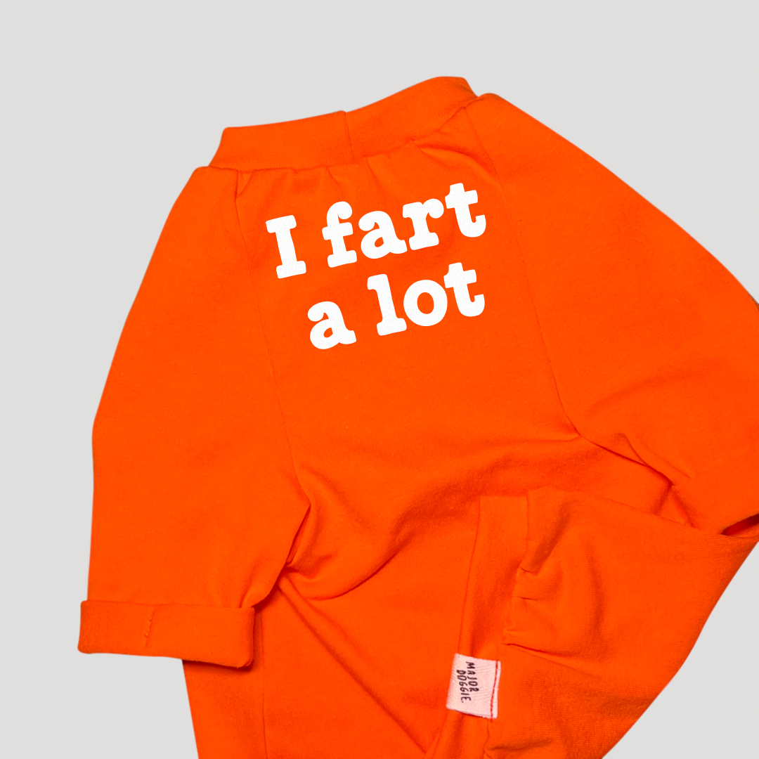 I fart a lot | Basic Tee