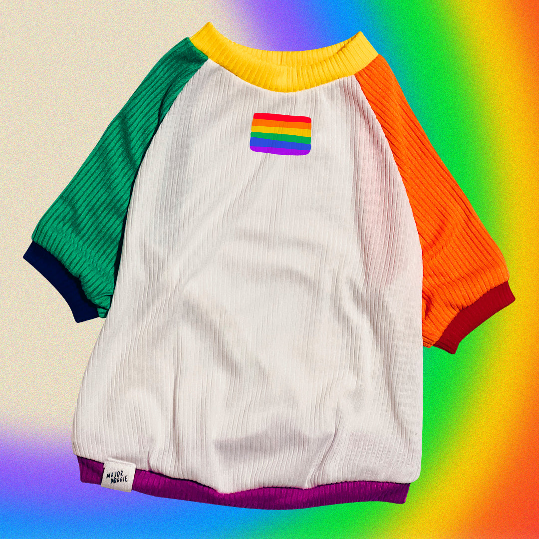 Rainbow Club 🏳️🌈