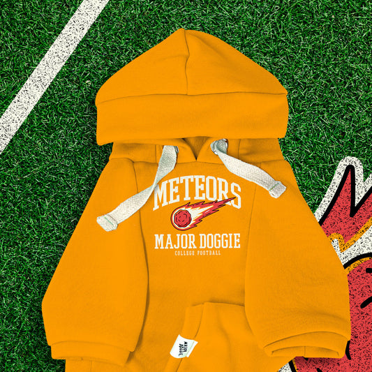 Meteors College Football 🏈 | Basic Hoodie