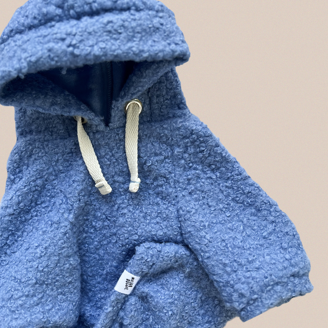 Light Blue | Teddy Hoodie