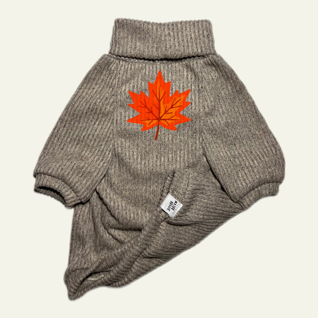 Autumn 🍁
