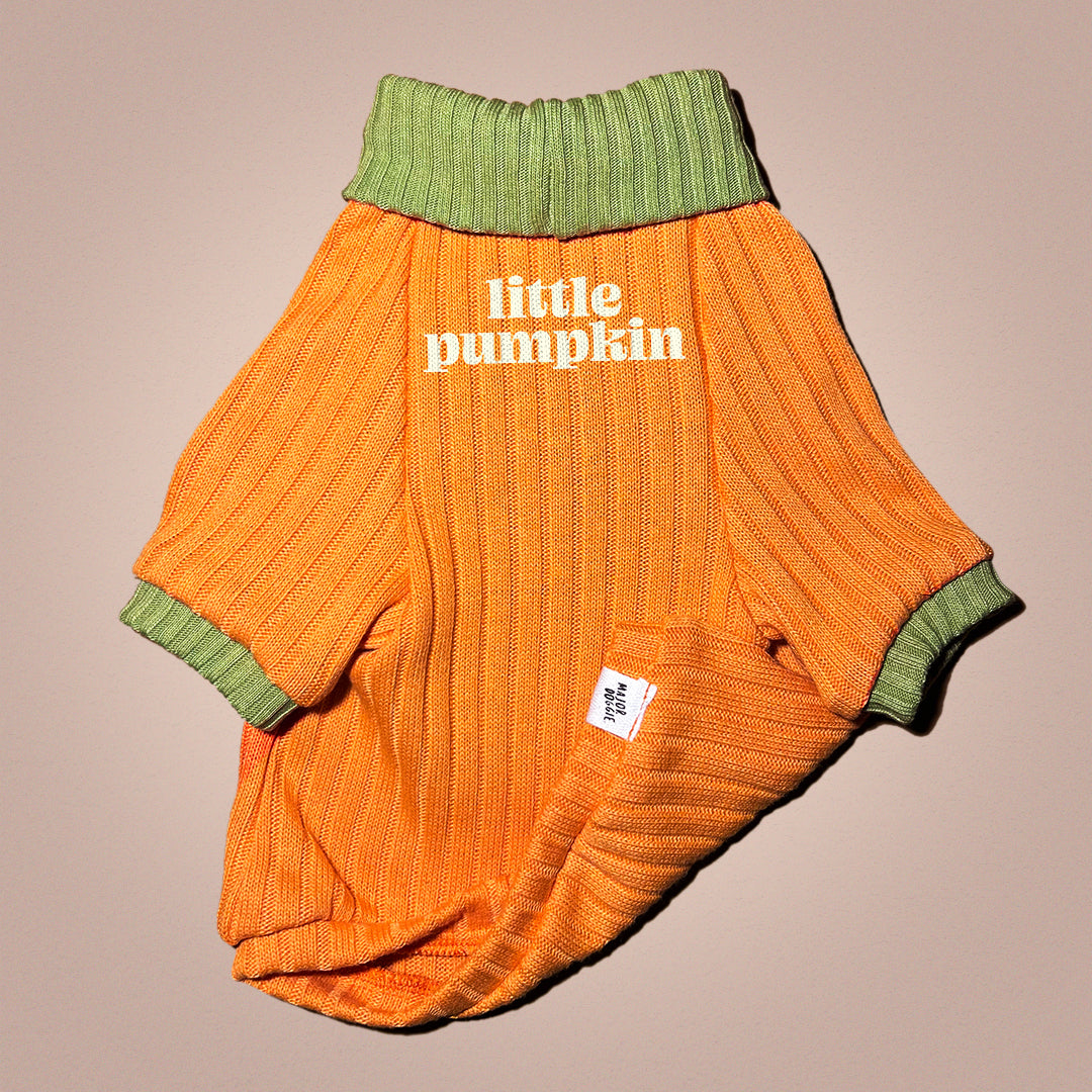 Little Pumpkin 🎃 | Knit Sweater 🧶