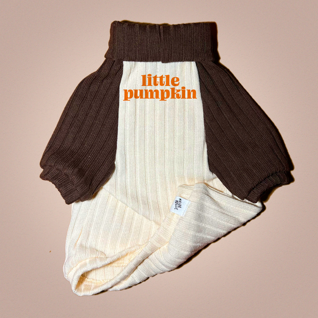 Little Pumpkin 🎃 | Knit Sweater 🧶