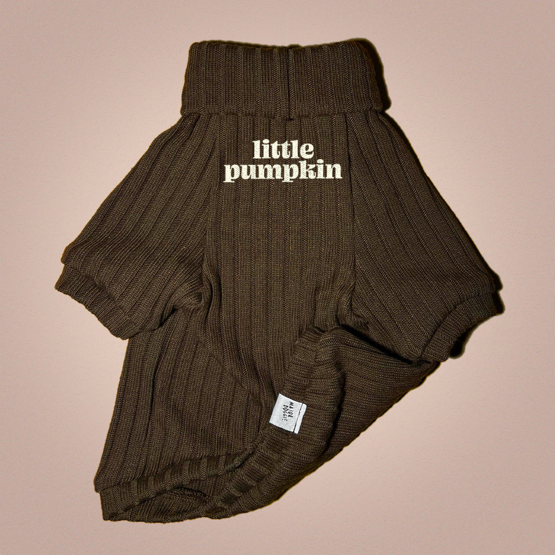 Little Pumpkin 🎃 | Knit Sweater 🧶