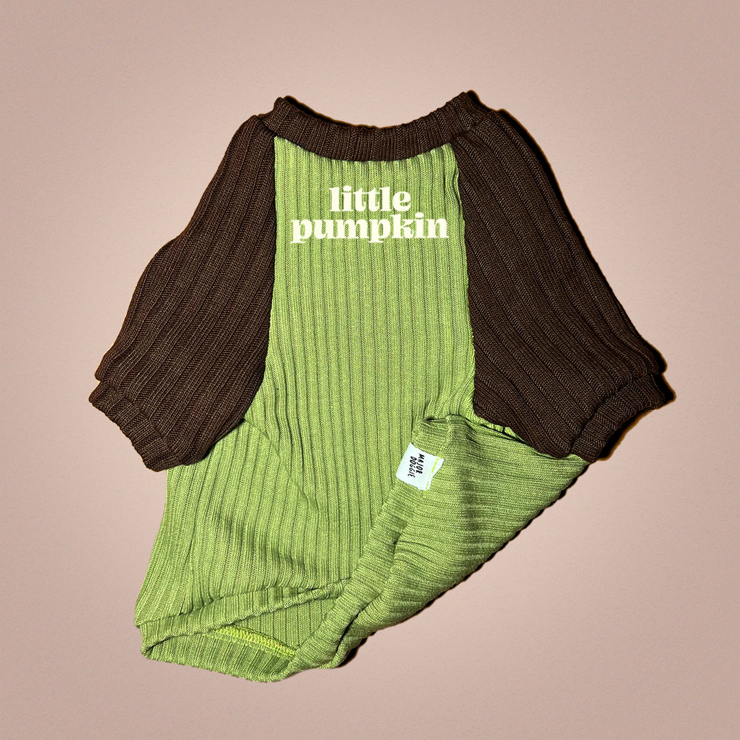 Little Pumpkin 🎃 | Knit Sweater 🧶