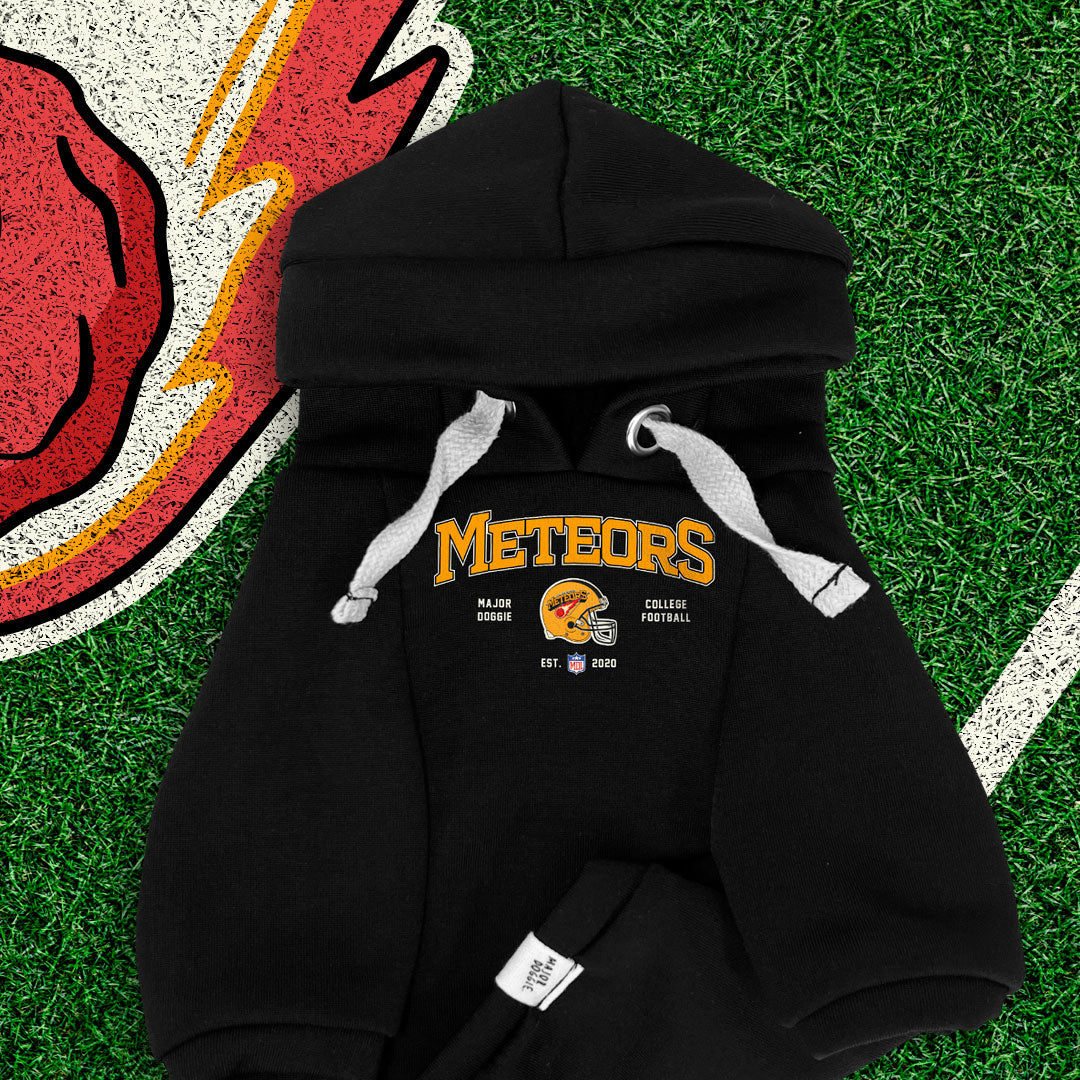 Meteors 2020 Football 🏈 | Basic Hoodie