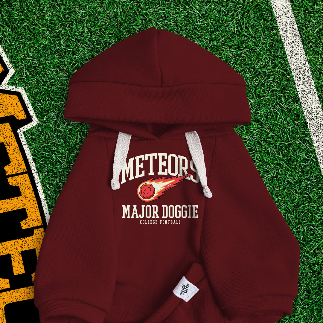 Meteors College Football 🏈 | Basic Hoodie