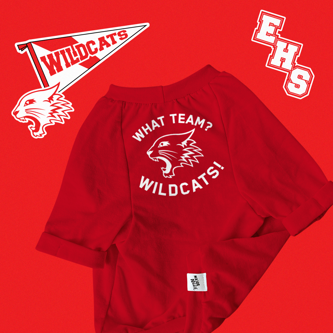 HSM | What team? | Basic Tee