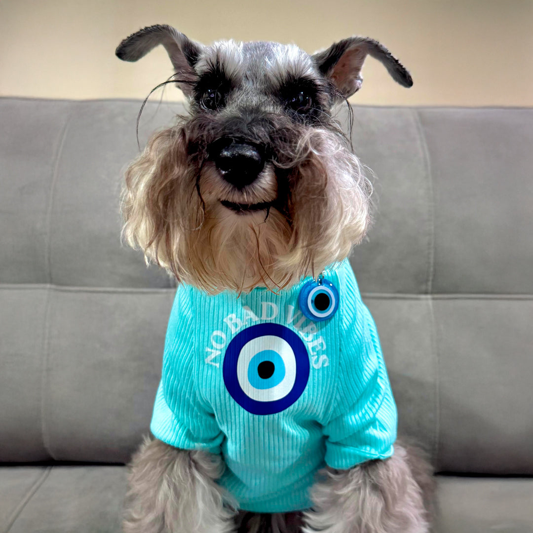 The Zodiac ⚖️🦁🦀