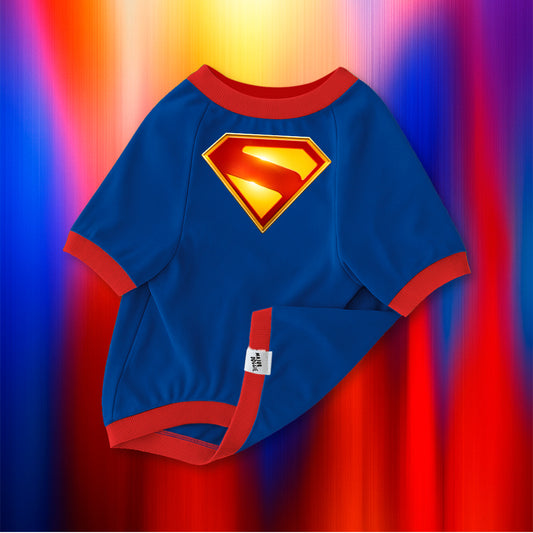 Superman | Basic Tee
