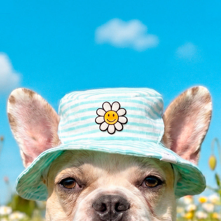 Bucket Hat 🌼
