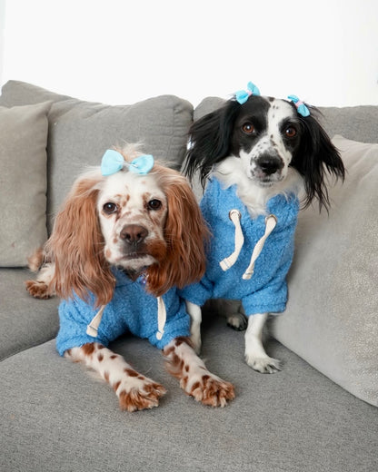 Light Blue | Teddy Hoodie