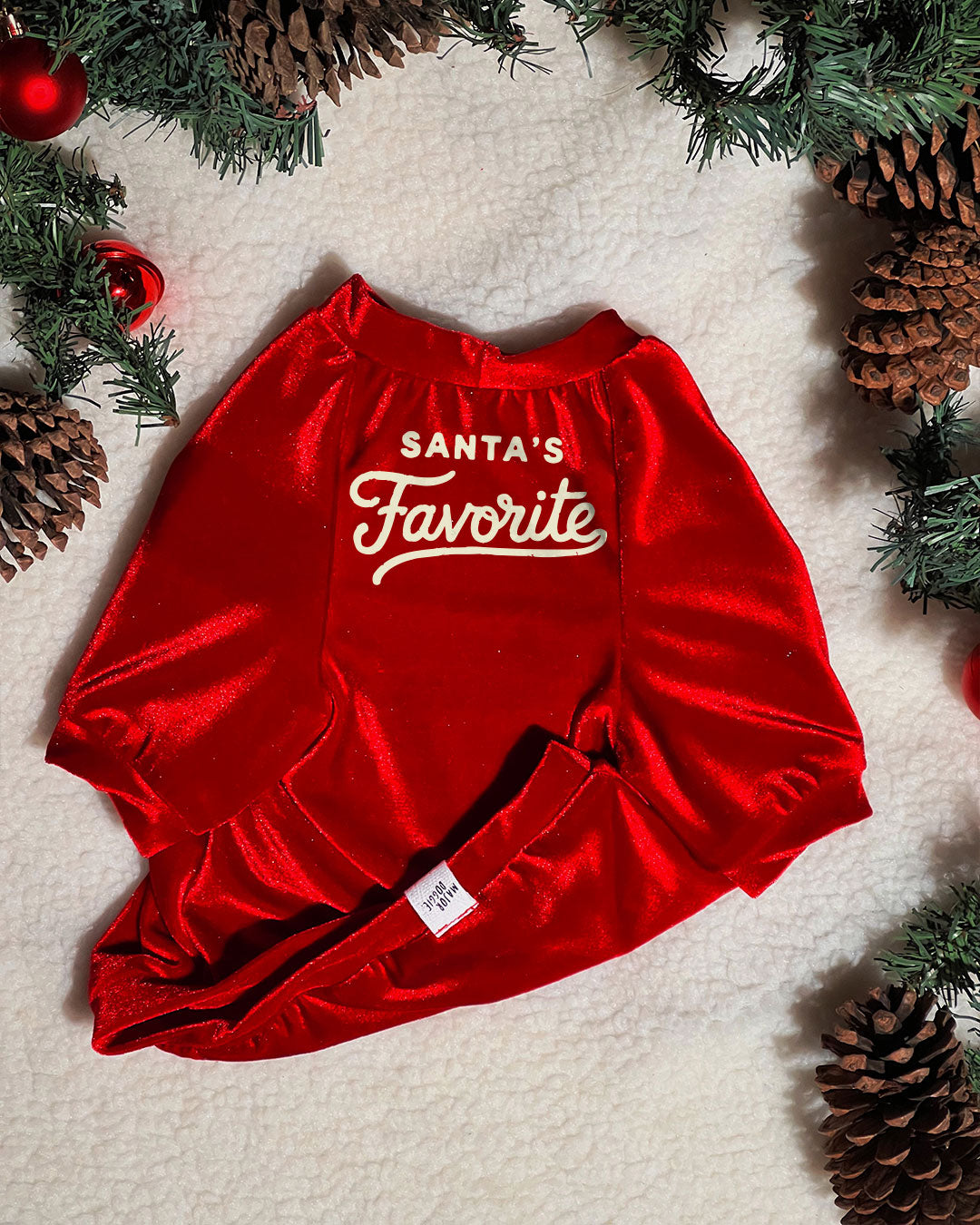 Santa's Favorite