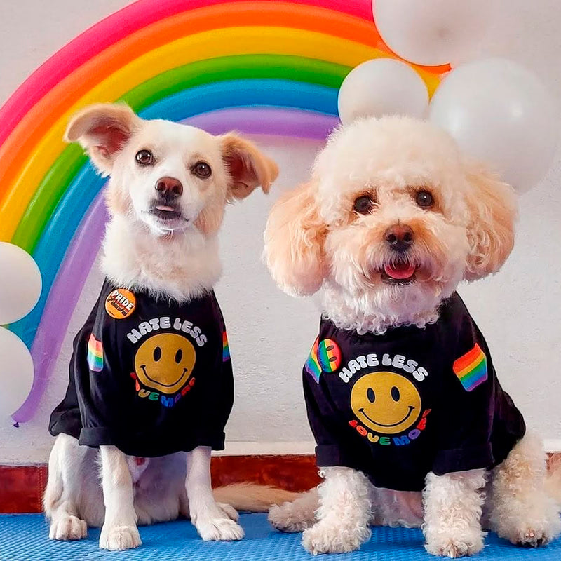 Pride 🏳️‍🌈
