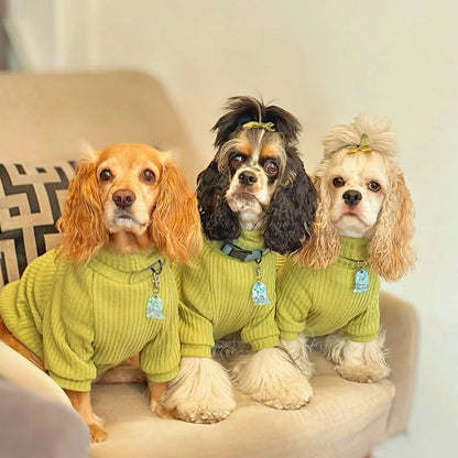 Clean Look | Matcha Knit Sweater 🧶