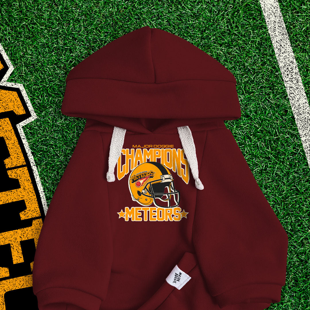 Champions Meteors ☄️ | Basic Hoodie