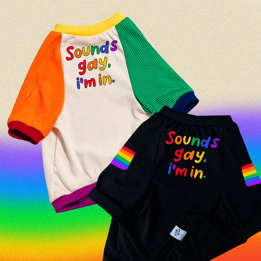 Sounds gay i'm in