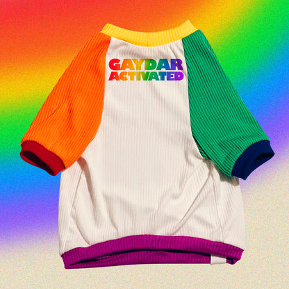 Gaydar 🏳️‍🌈