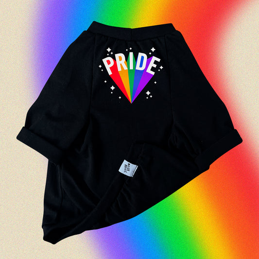 Pride 🏳️‍🌈