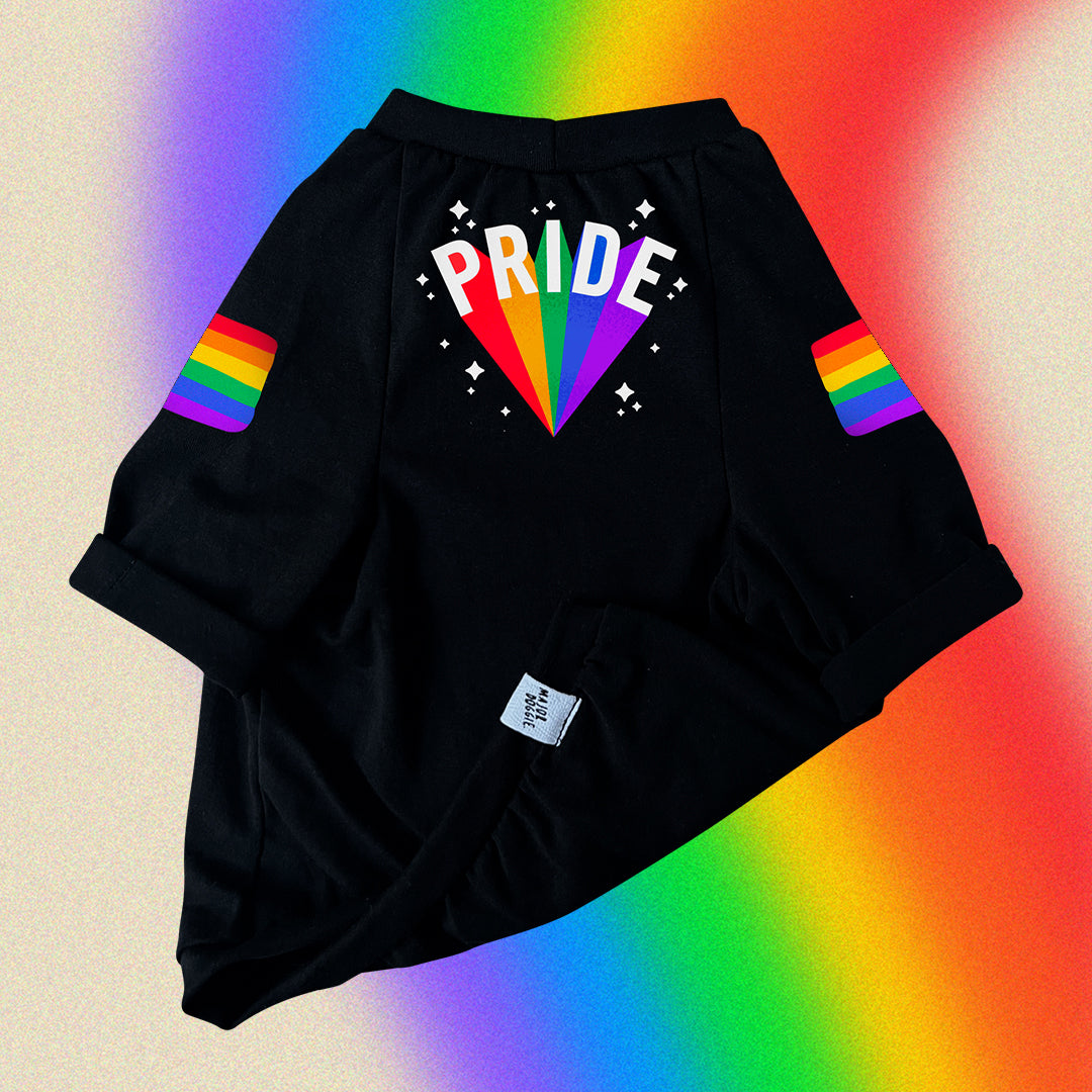 PRIDE 🏳️‍🌈