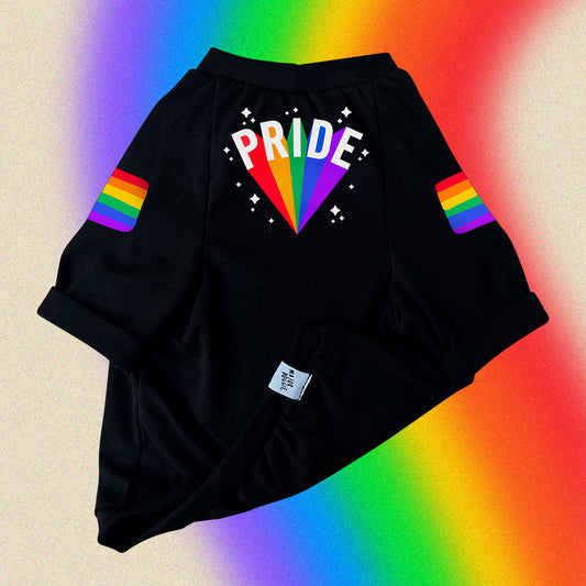 PRIDE 🏳️‍🌈