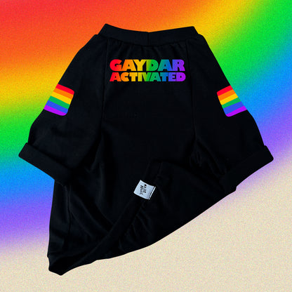 Gaydar 🏳️‍🌈