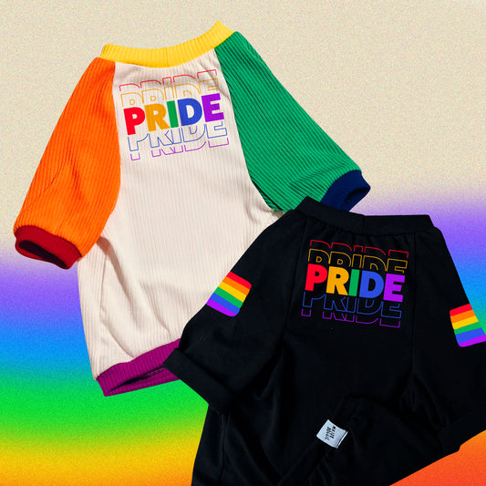 Pride 🏳️‍🌈