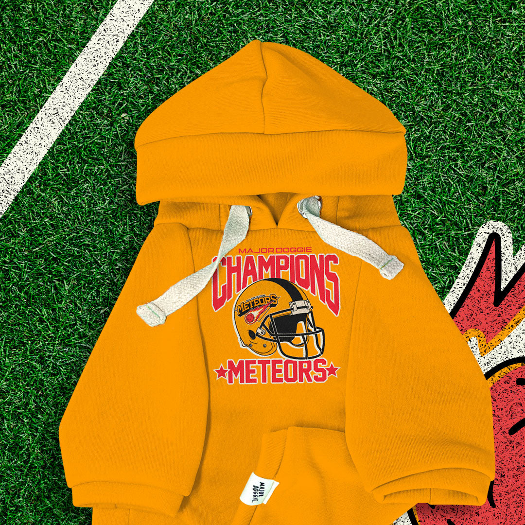 Champions Meteors ☄️ | Basic Hoodie