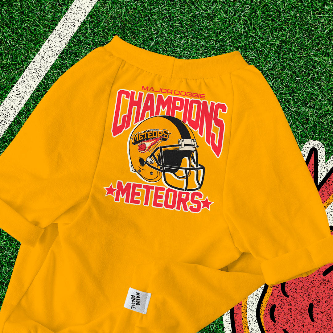 Champions Meteors ☄️  | Basic Tee