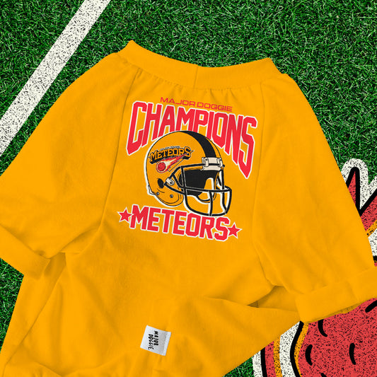 Champions Meteors ☄️  | Basic Tee