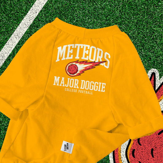 Meteors College Football 🏈  | Basic Tee