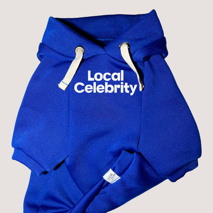 Local Celebrity | Basic Hoodie