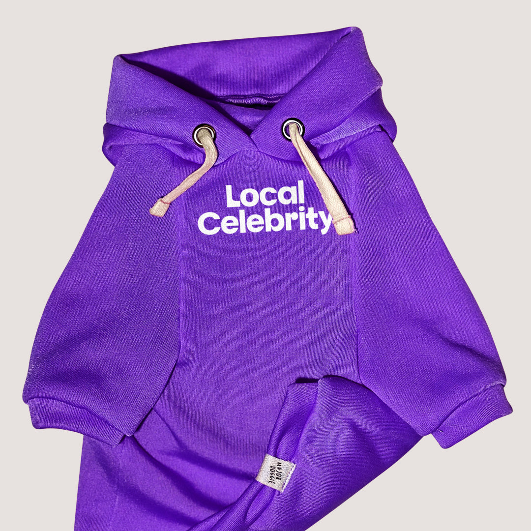 Local Celebrity | Basic Hoodie