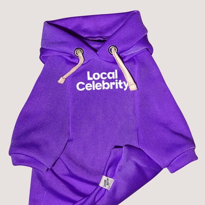 Local Celebrity | Basic Hoodie