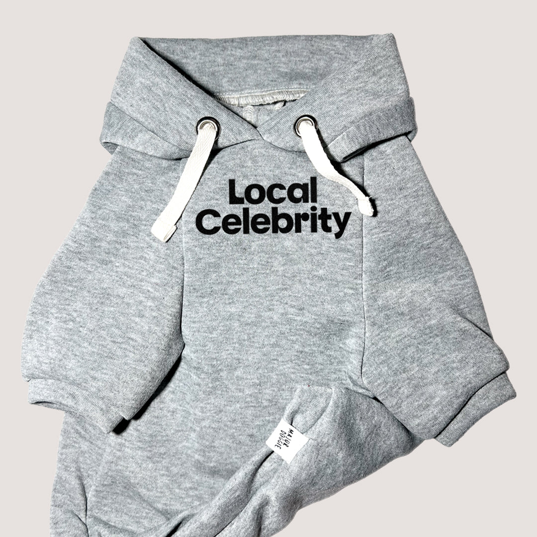 Local Celebrity | Basic Hoodie