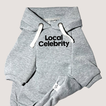 Local Celebrity | Basic Hoodie