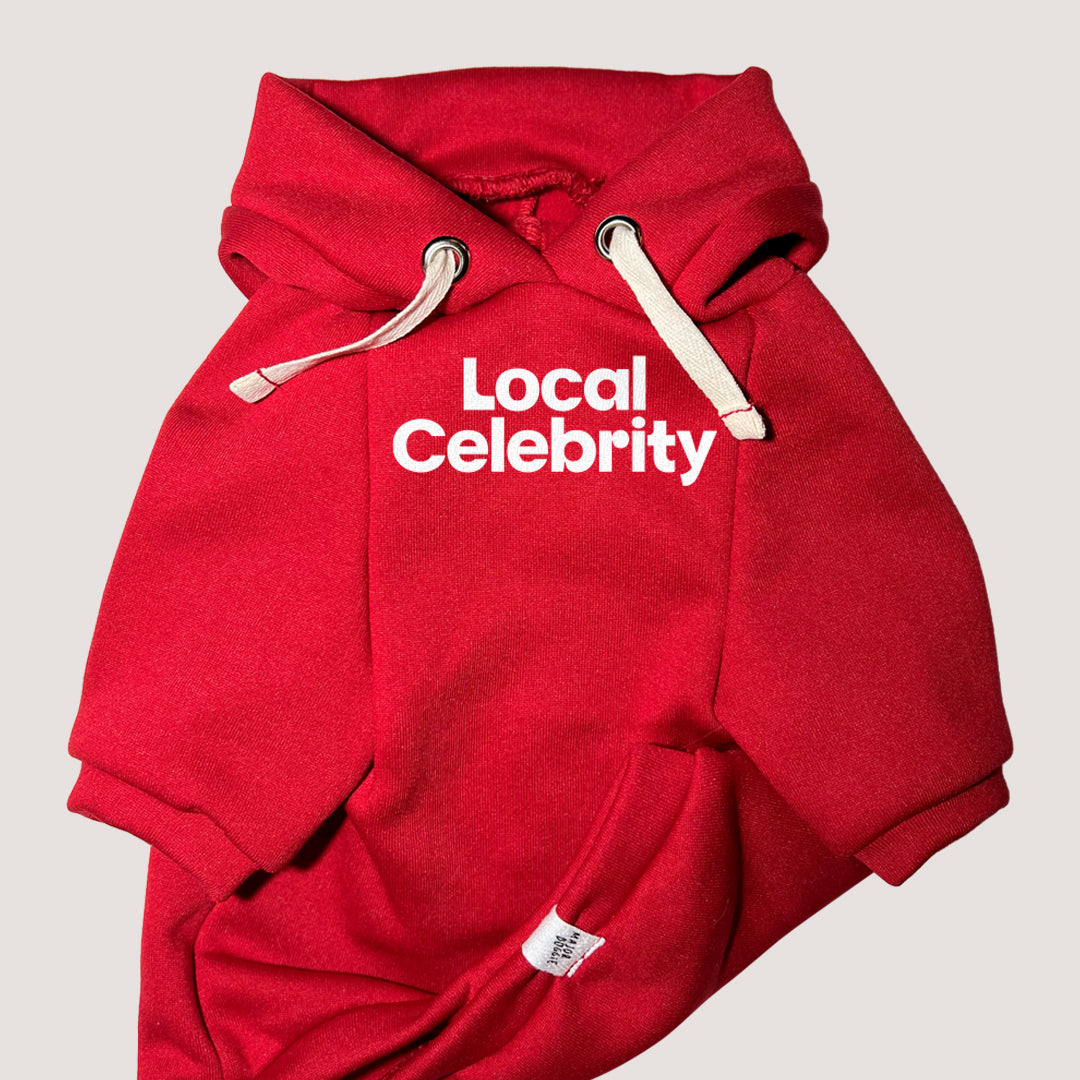 Local Celebrity | Basic Hoodie