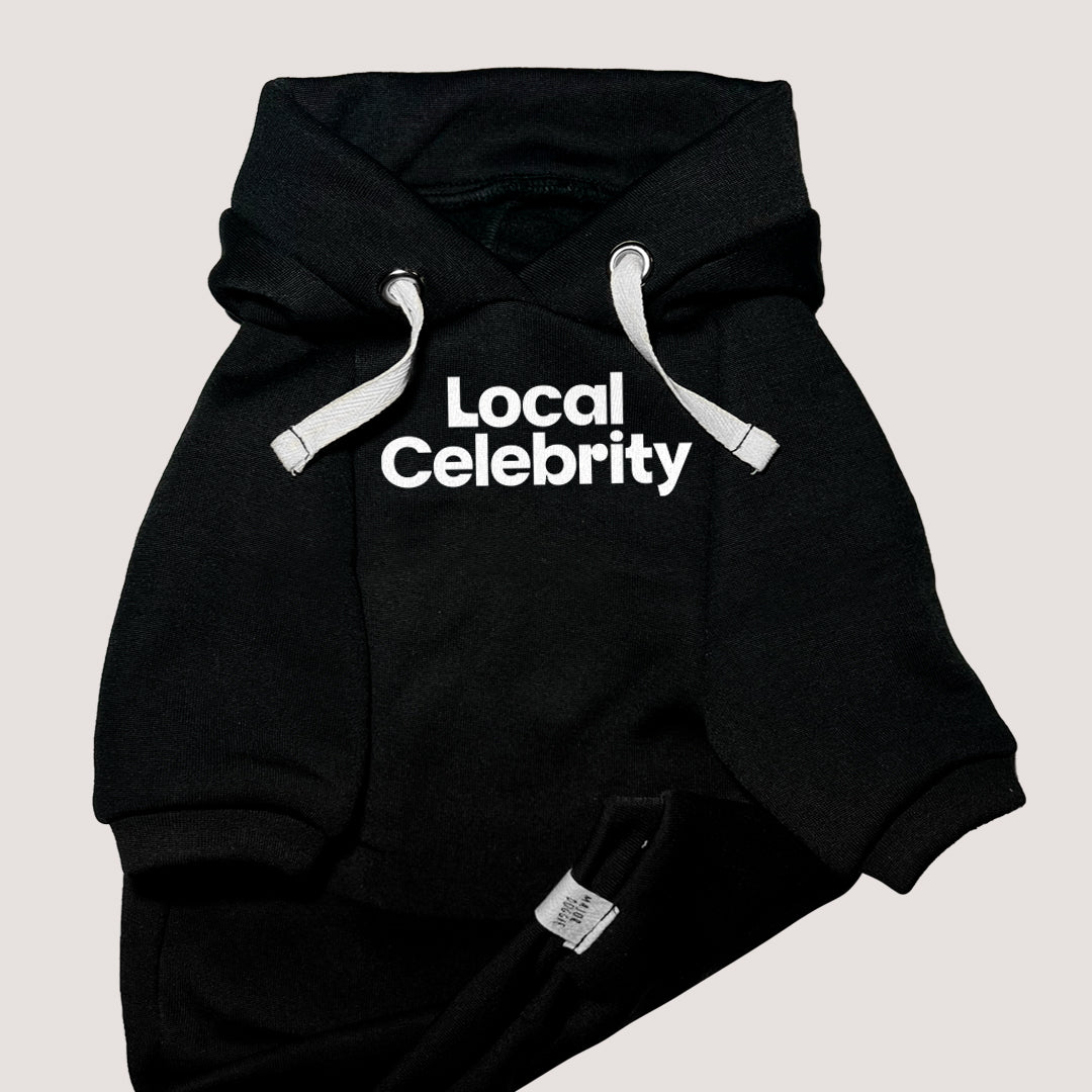 Local Celebrity | Basic Hoodie