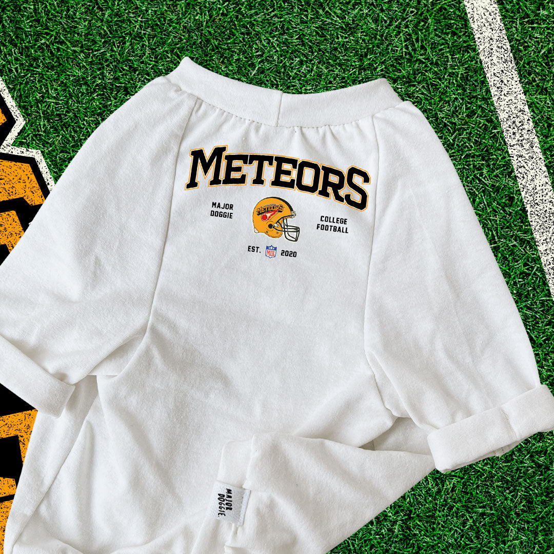 Meteors 2020 Football 🏈  | Basic Tee