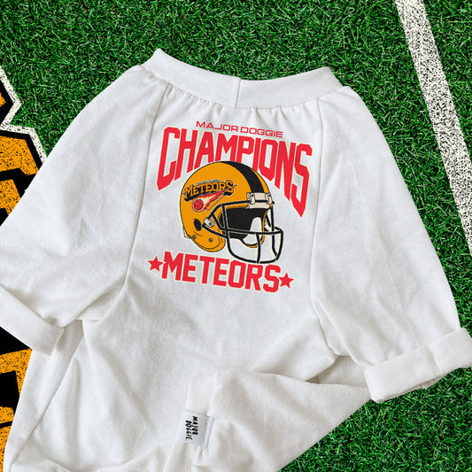 Champions Meteors ☄️  | Basic Tee
