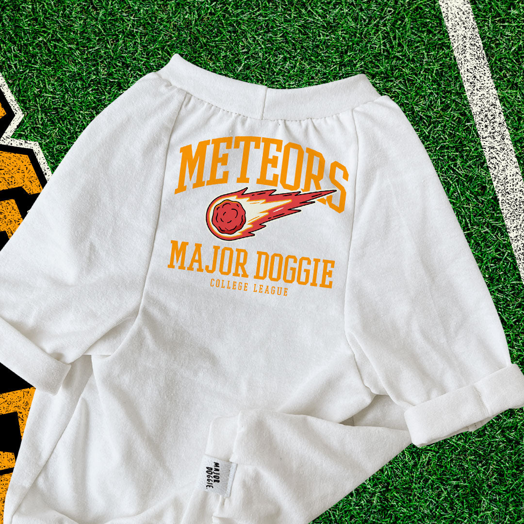 Meteors College Football 🏈  | Basic Tee
