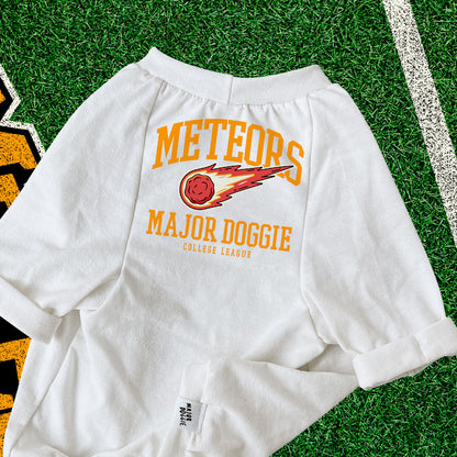 Meteors College Football 🏈  | Basic Tee