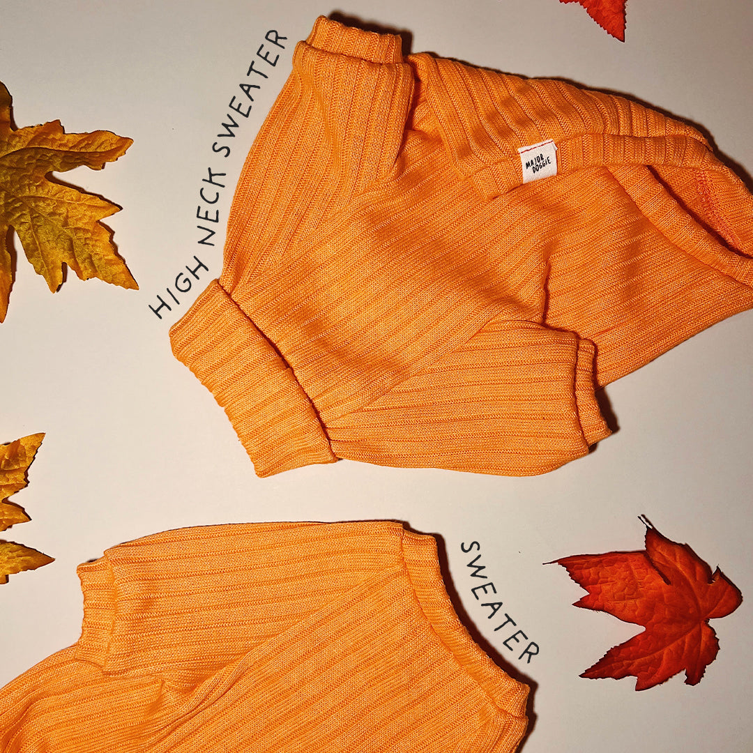 Pumpkin 🎃 | Knit Sweater 🧶