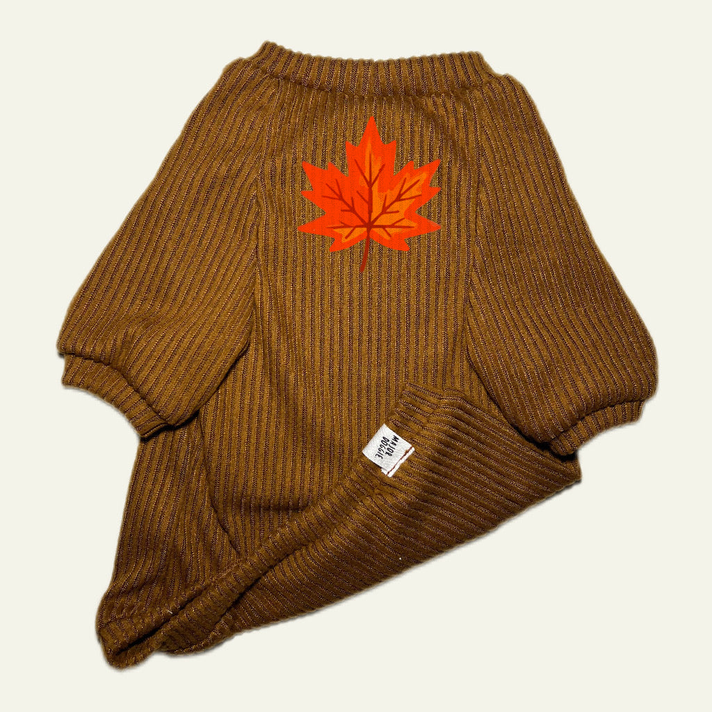 Autumn 🍁