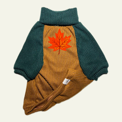 Autumn 🍁