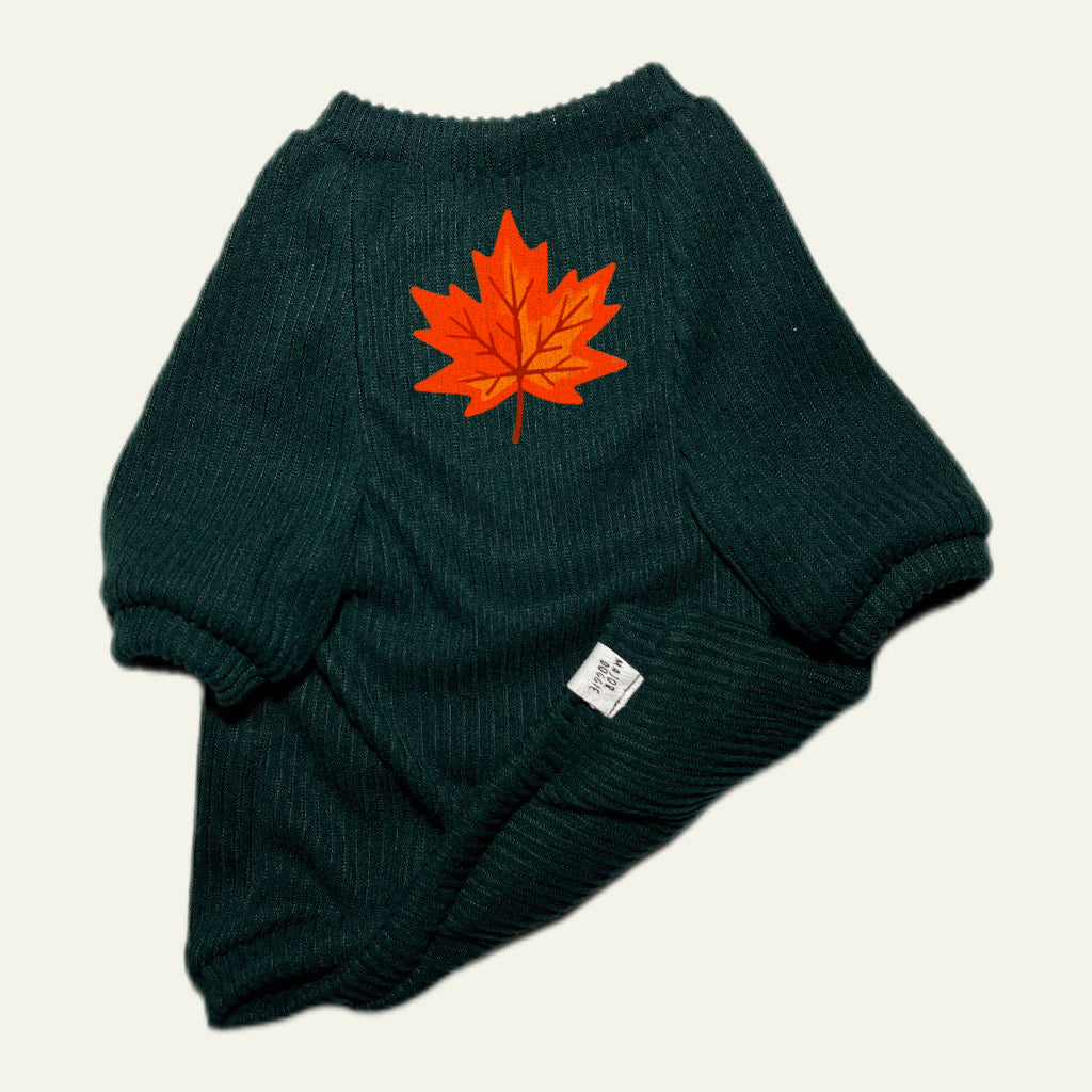 Autumn 🍁