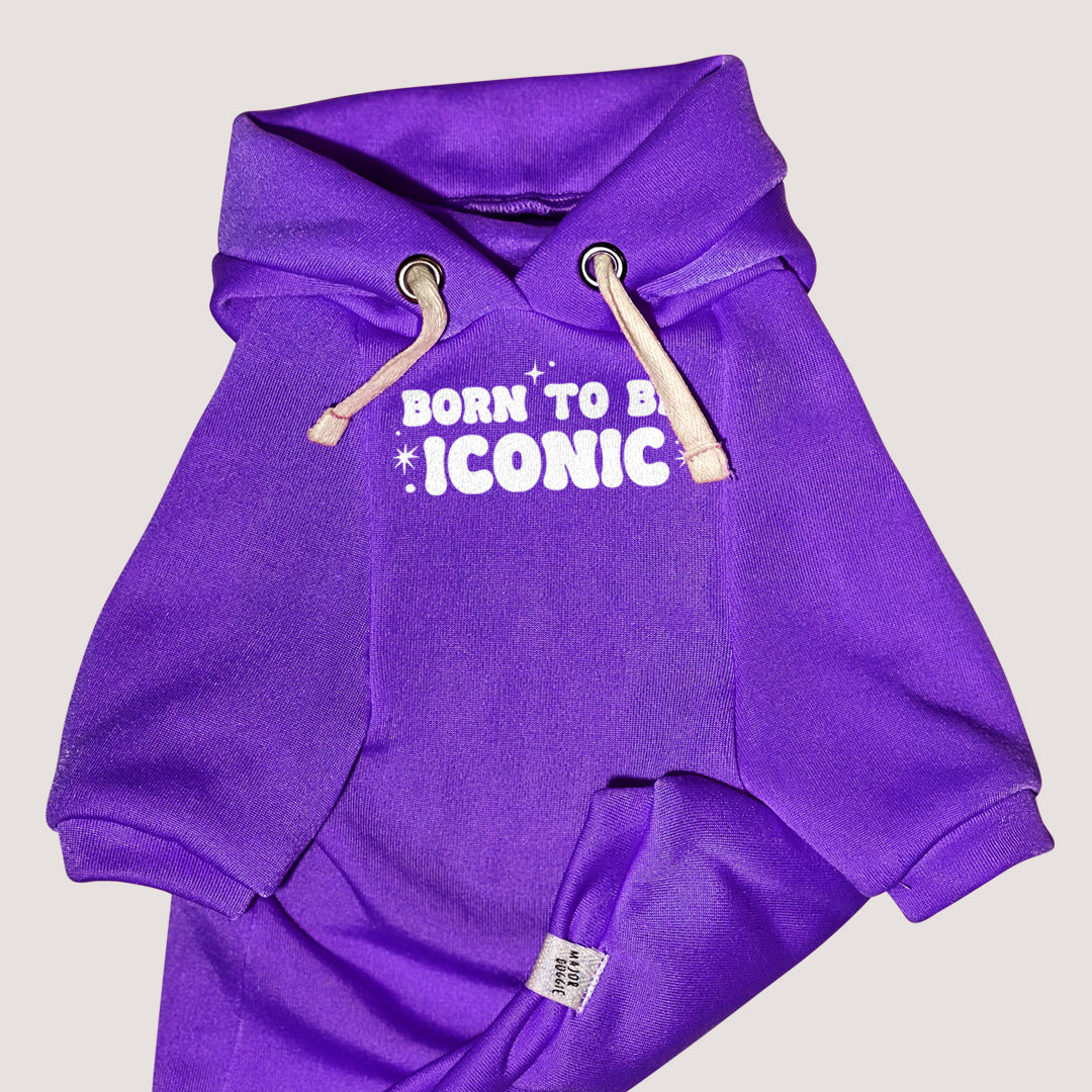 Born to be ICONIC ✨ | Basic Hoodie